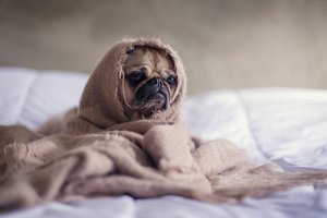 Хороший сон спасает от опасных заболеваний