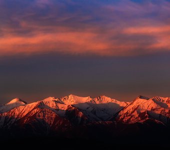 В утреннем свете