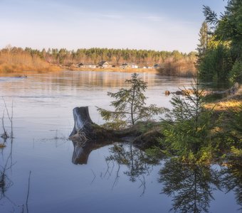 На подтопленном берегу