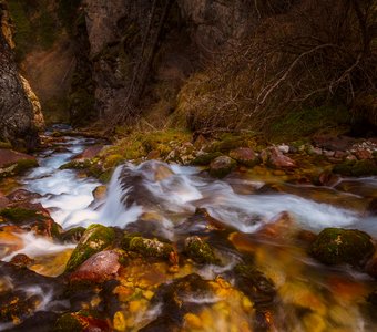 В гости к Лешему