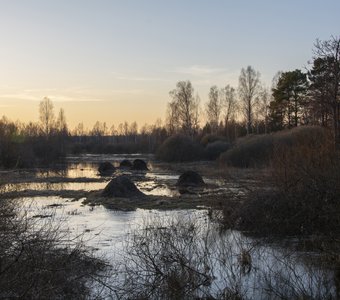 Место слияния Хомутовки и Присмары
