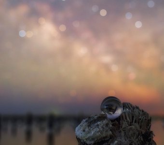 Соляной дракон