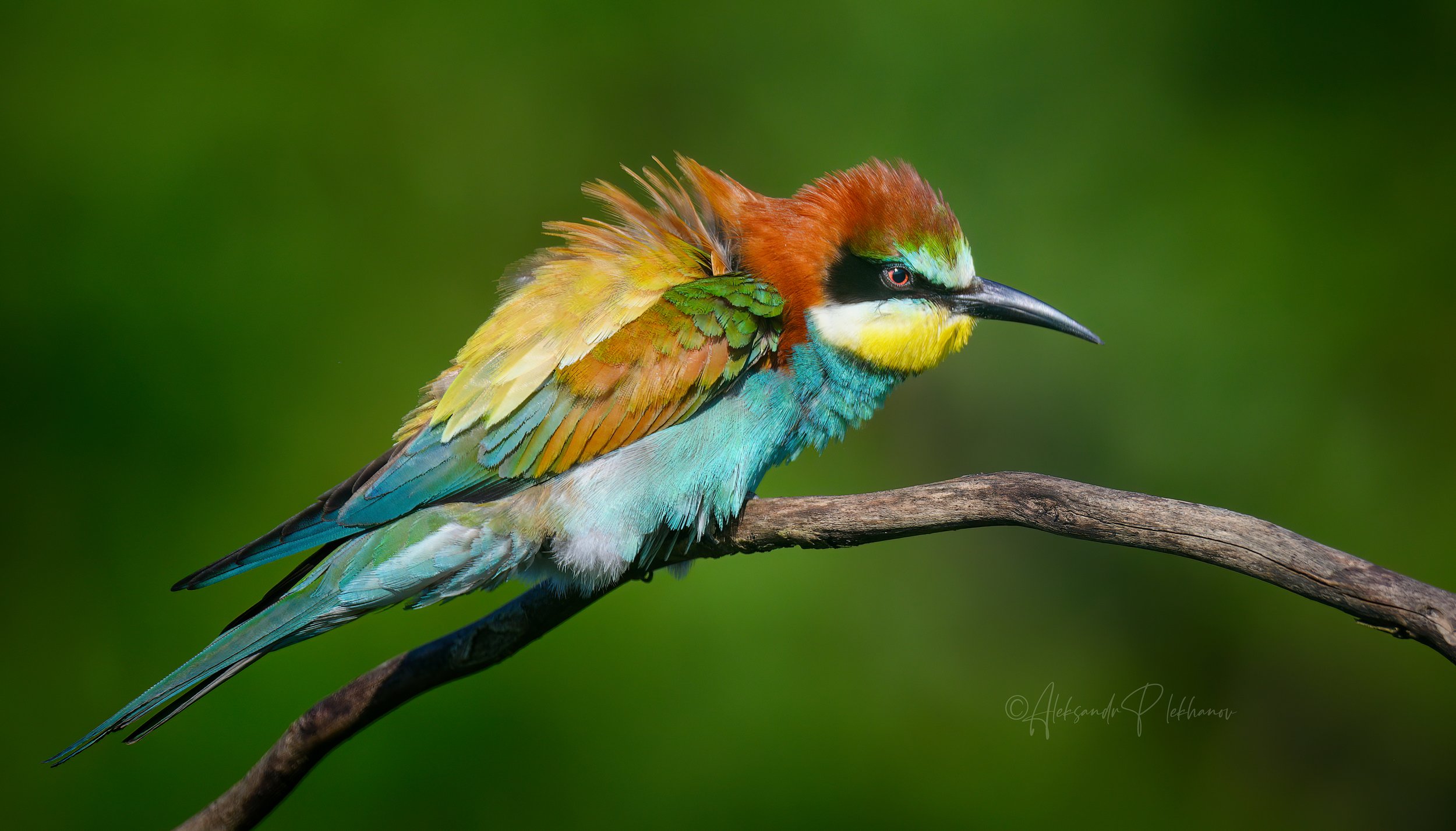 Детали и цвет