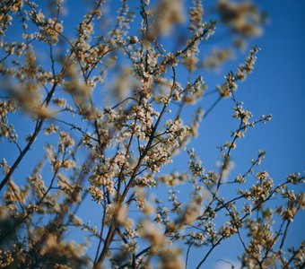 По мотивам Ван Гога