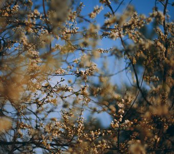 Апрельская акварель