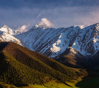 Гонимы вешними лучами с окрестных гор уже снега