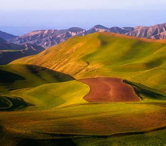 Картины весны