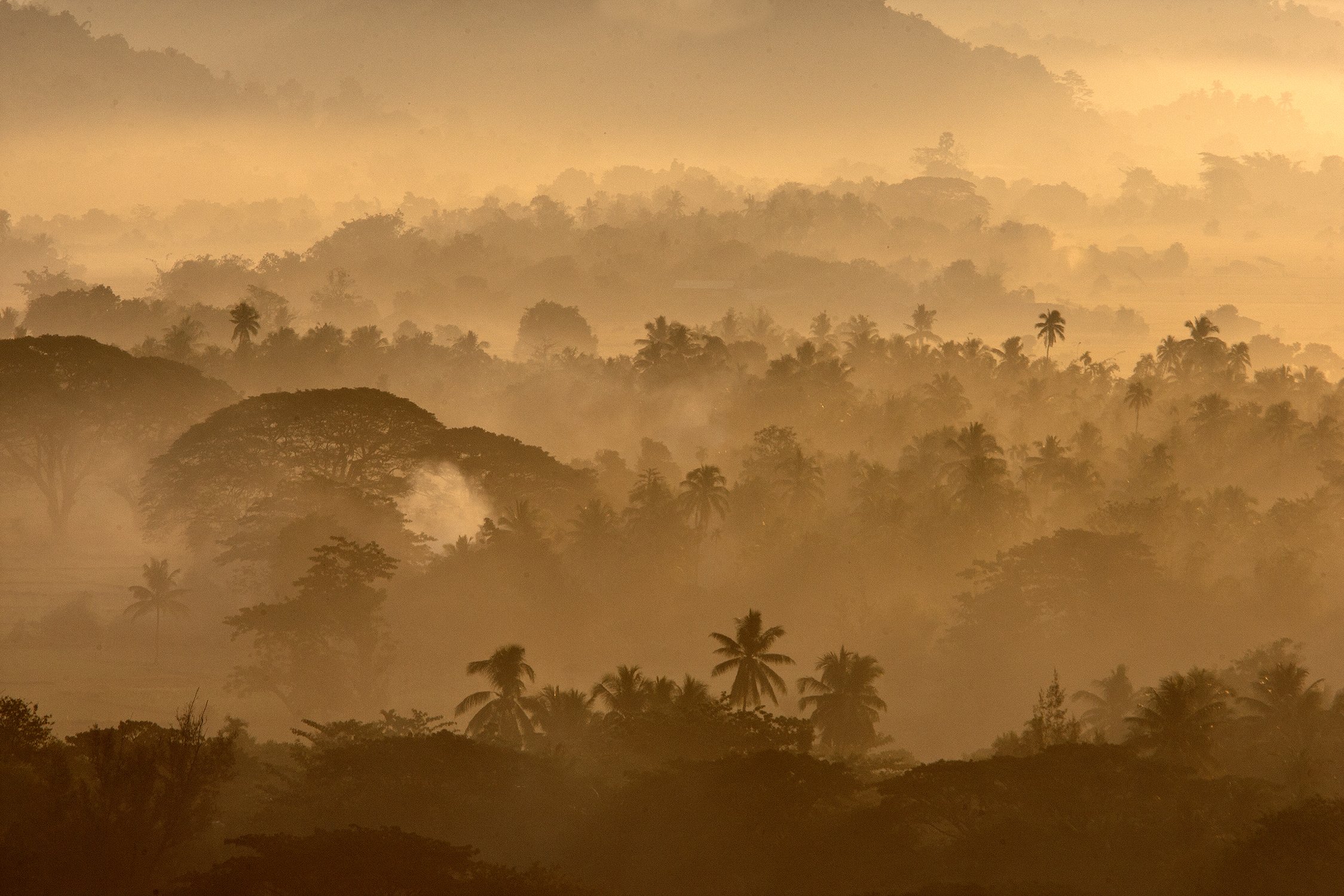 Мистический рассвет