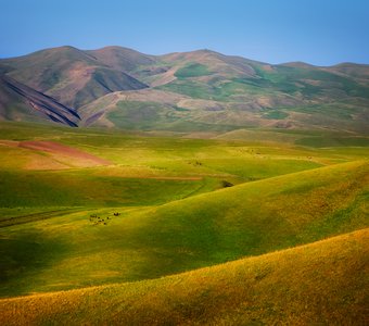 Весенняя акварель