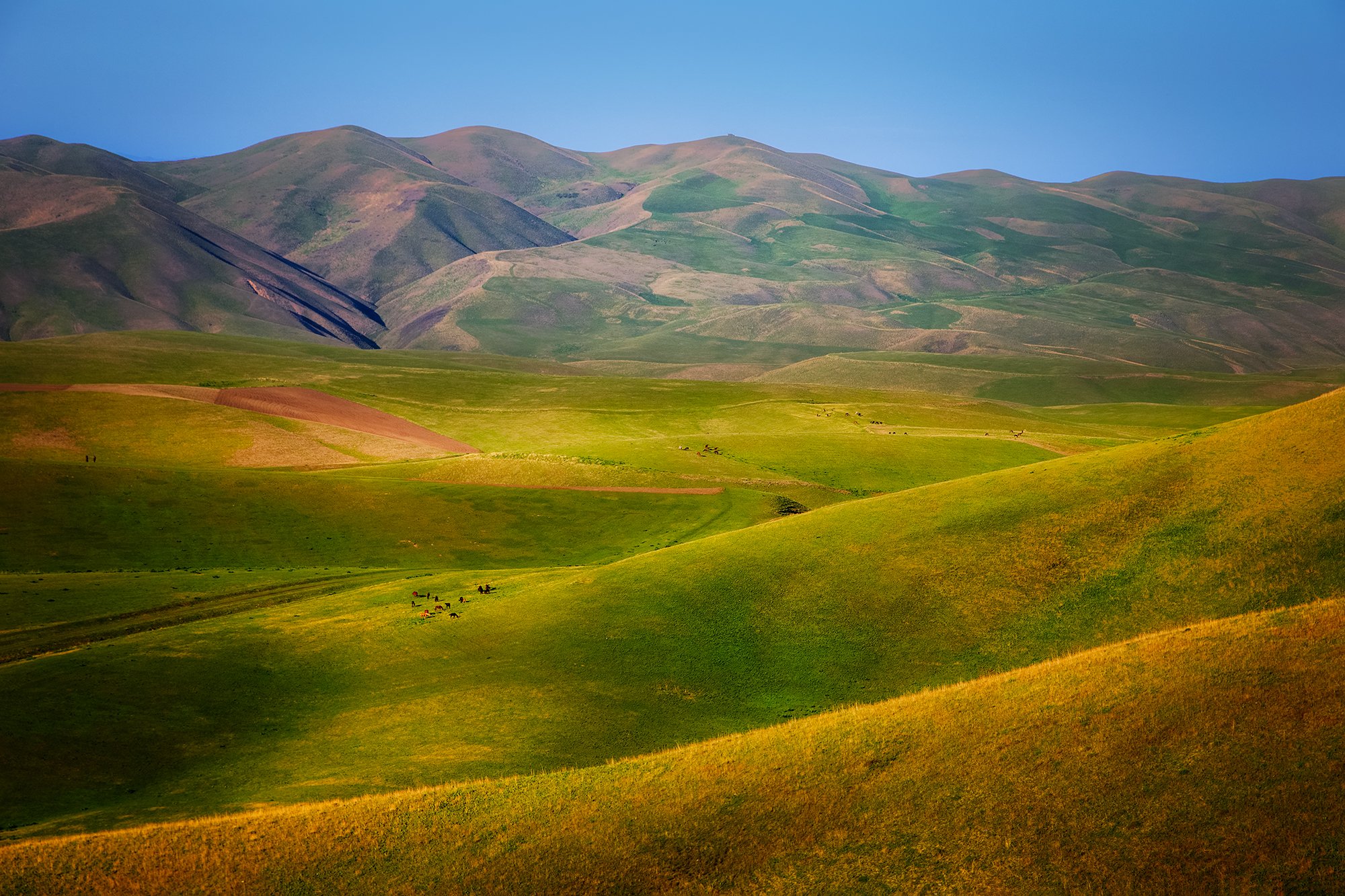 Весенняя акварель