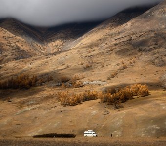 "Белый фургон")