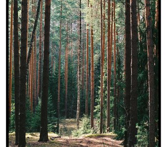 Fujifilm Superia Premium 400