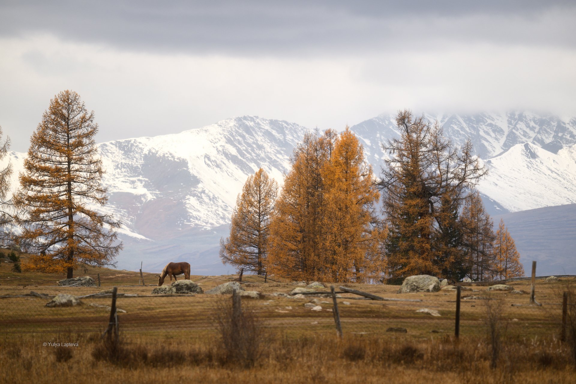 Где мира чистота