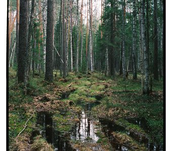 Fujifilm Superia Premium 400