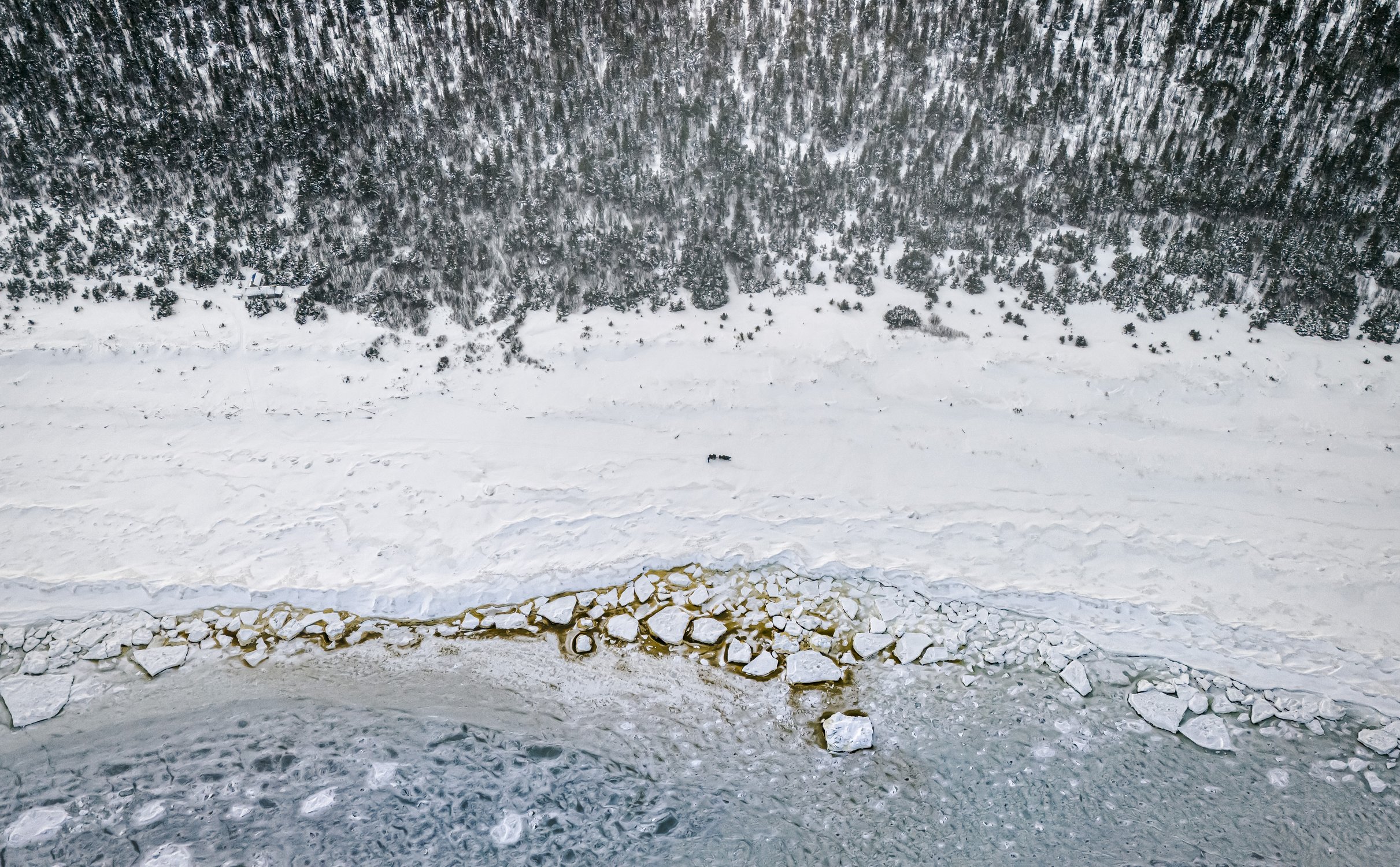 Море. Берег. Лес. На берегах Беломорья