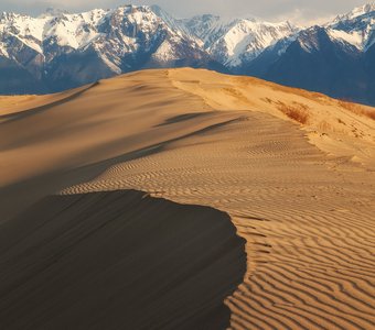 Майское утро в Чарских песках