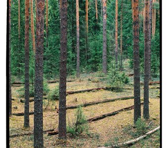 Fujifilm Superia Premium 400