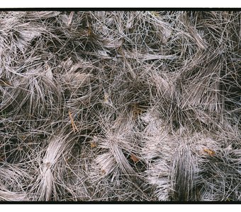 Fujifilm Superia Premium 400