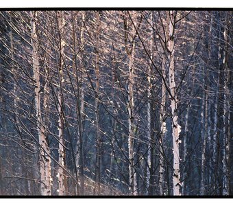 Fujifilm Superia Premium 400