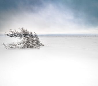 Белое безмолвие