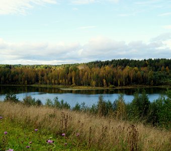 По дороге в Каргополь. Архангельская область