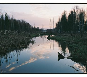 Fujifilm Superia Premium 400