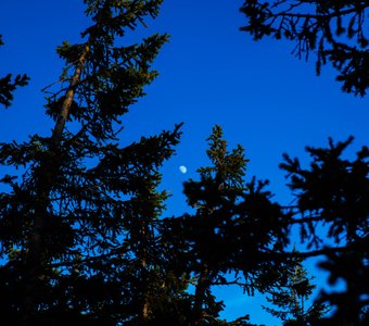 Небо Таганая