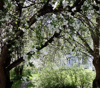 Волшебная тропинка в самом обыкновенном дворе