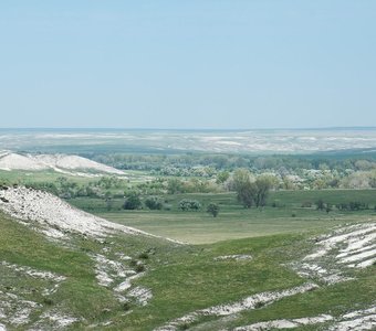 Цветение одичавших садов в меловых холмах