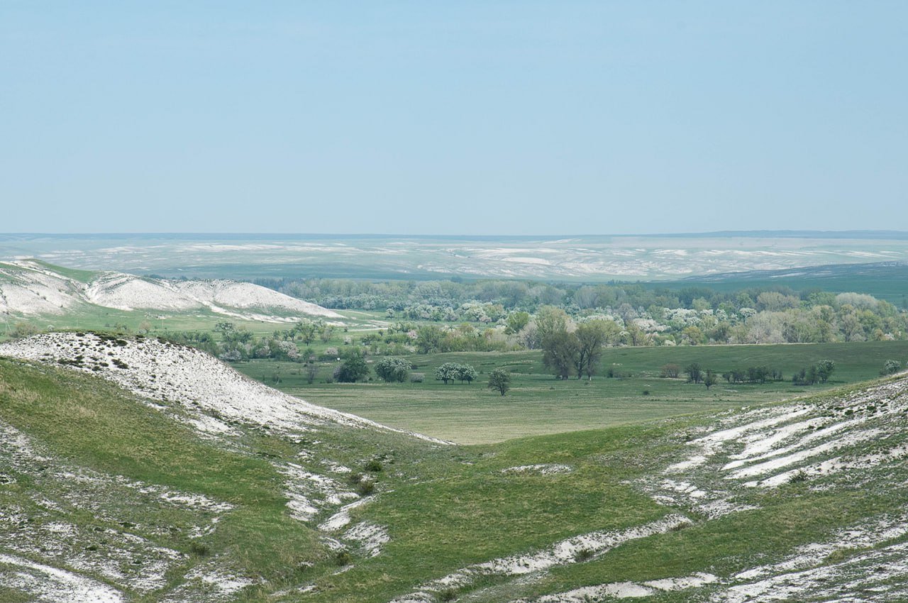 Цветение диких садов среди меловых холмов