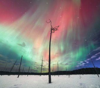 Боги народа Коми