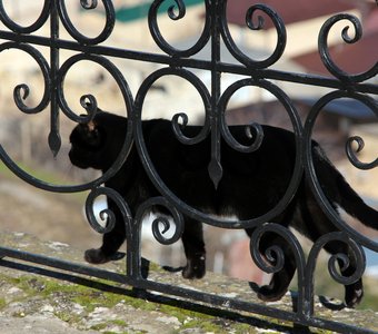 Не в темнице.