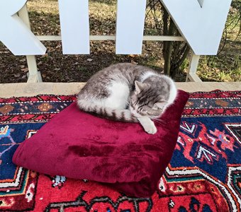 Лучшая жизнь