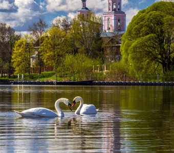 Лебединое озеро