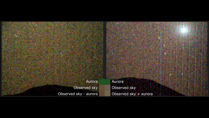 Фото: Knutsen et al., Sci. Adv. 11, eads1563 (2025)