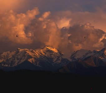 Мгновения вечера