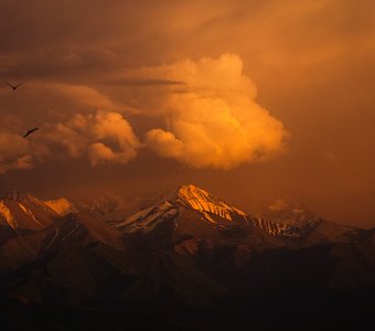 Мгновения вечера