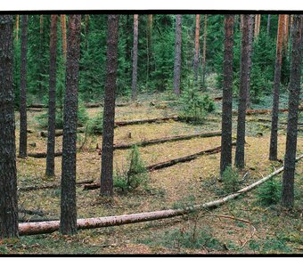 Fujifilm Premium 400