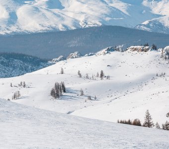 Алтайские просторы