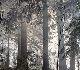 Туманное утро на Среднем Урале
