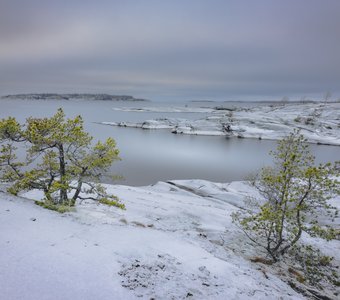Элегия воды и камня