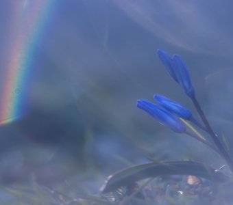 Тянуть к радуге