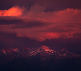 Розовый вечер