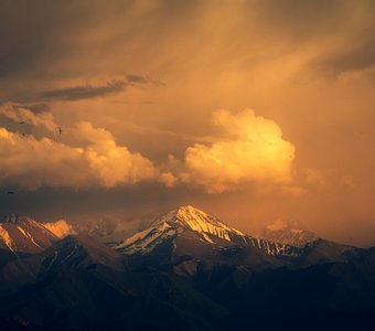 Мгновения вечера