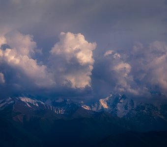 Гармония вечера