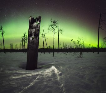 Северный идол