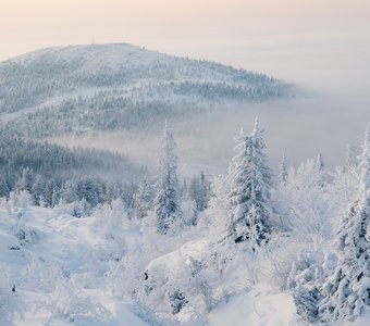 Зимняя сказка