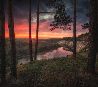 Тарасова гора