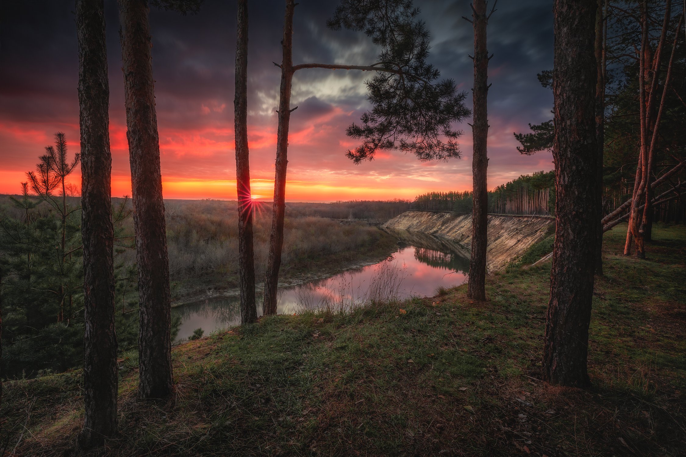 Тарасова гора