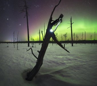 Северный идол